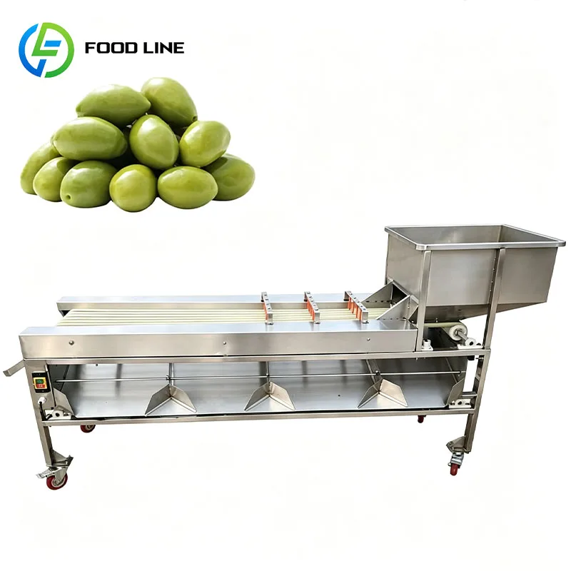 Fruit Grading Equipment Small Fruit Sorter Size Grader for Longan Kumquat Grape Currant Customized