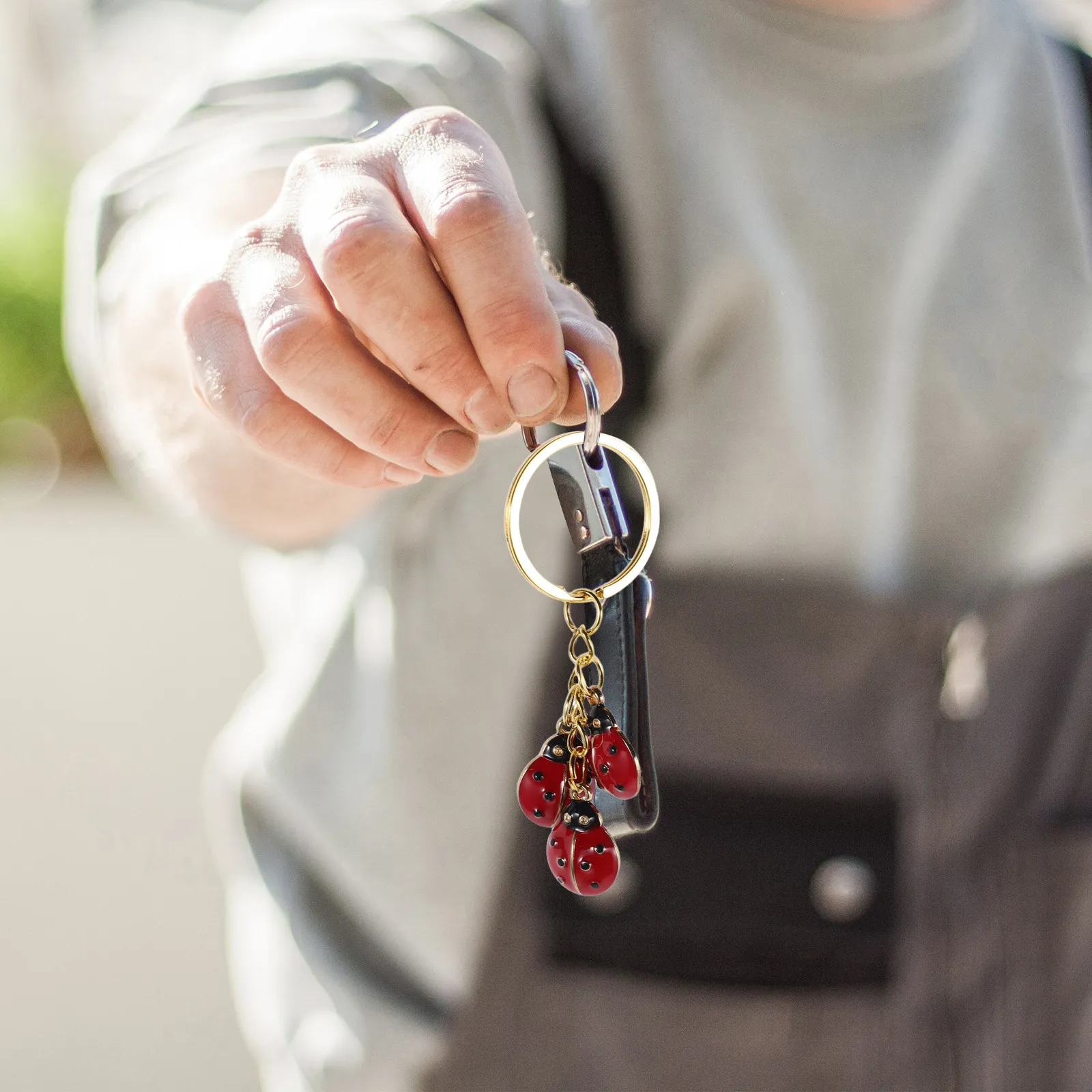2Pcs Metal Ladybug Keychain Cute Insect Charm for Purse Backpack School Bag Decoration Animal Pendant Keyring Gift