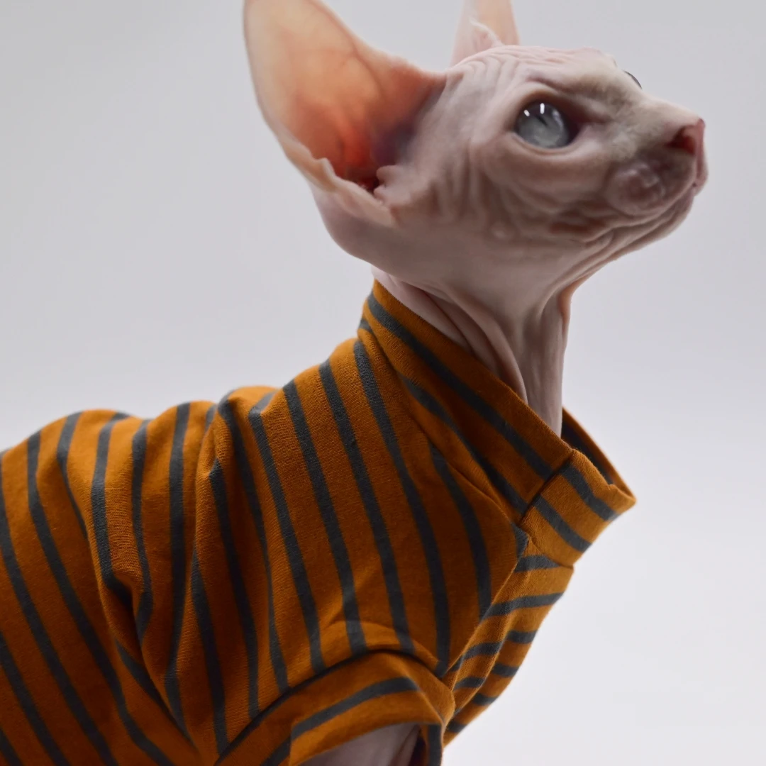 Haarlose Katzenkleidung, atmungsaktive Baumwolle, Sommer, dünne Katzenweste für Sphynx, Devon Rex, Cornish, kleine Katzen und Hunde