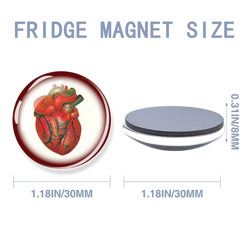 Heartbeat Sign Fridge Magnet Glass Dome Anatomical Heart Magnets Refrigerator Stickers Biologist Doctors Home Decor Gifts