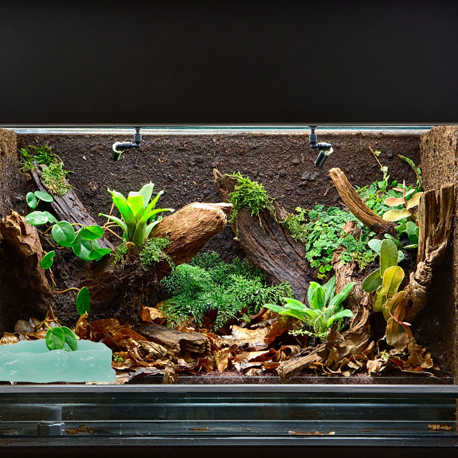 

Glow In Dark Reptile Water Luminous Food Dish For Lizards Tortoises Non-Slip Resin Feeding Container Night Light Bowl Terrarium