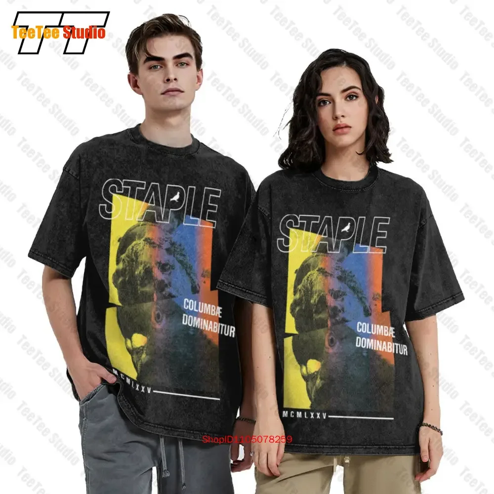 Staple Pigeon Latin Vintage Oversized T-Shirt V1TY