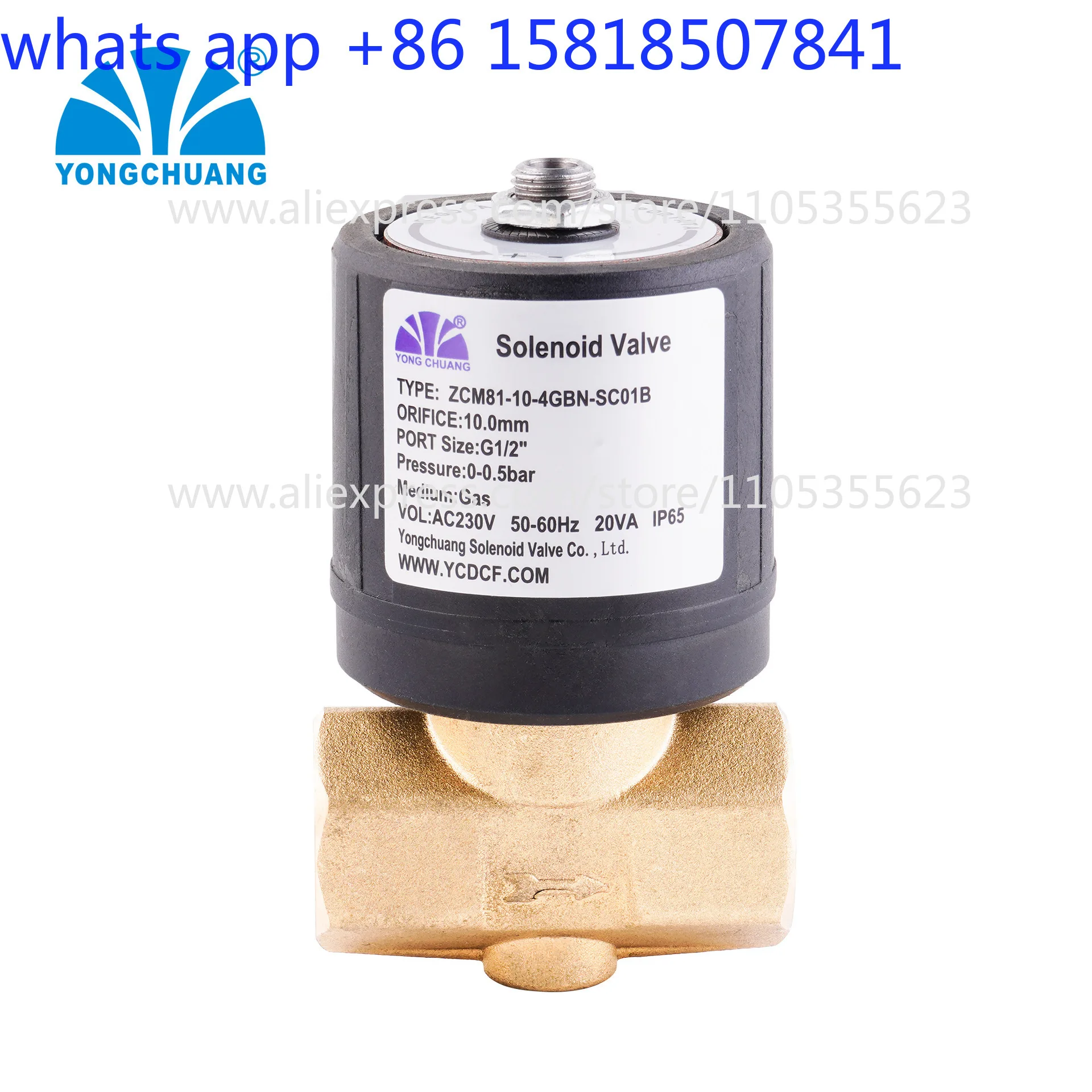 ZCM81 solenoid valve, direct-acting large-flow normally closed solenoid valve, adjustable flow, combustion gas