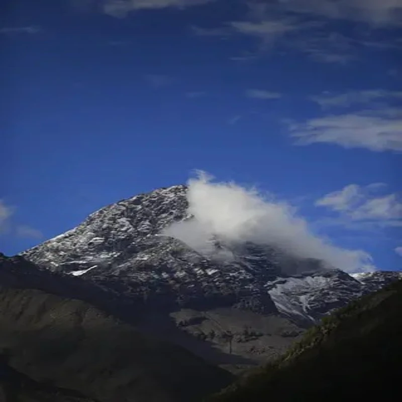 IFlight Albatross V2.1 SMA 5.8 جيجا هرتز 2.4dBi هوائي LHCP RP SMA / RHCP SMA90MM/130 مللي متر/180 مللي متر لجزء الطائرة بدون طيار للسباق FPV