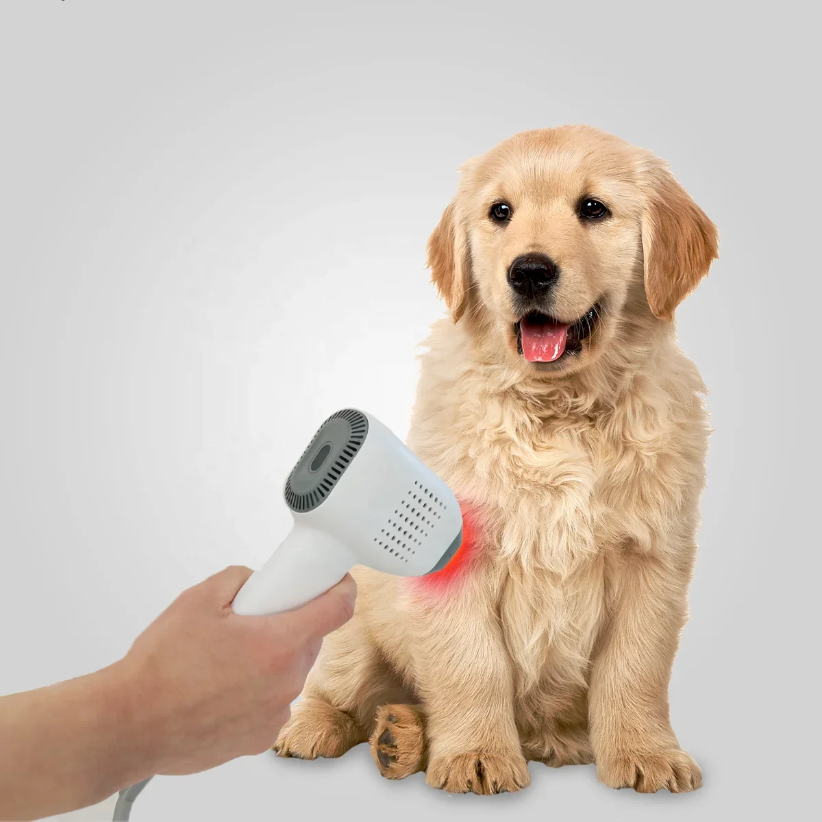 980nm Pain Relief Professional Pet Supplies Portable Infrared Light Vet Device for Pets  Therapy For Muscle & Joints Pain