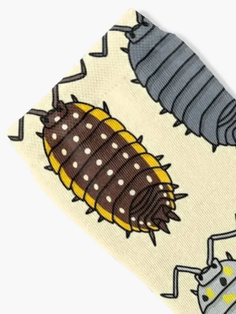 Isopods Socks set funny gifts colored cartoon Socks Woman Men's