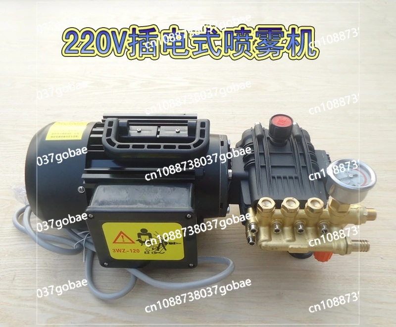 

220V Electric Plug-in Car Washing Machine Portable High Voltage Portable