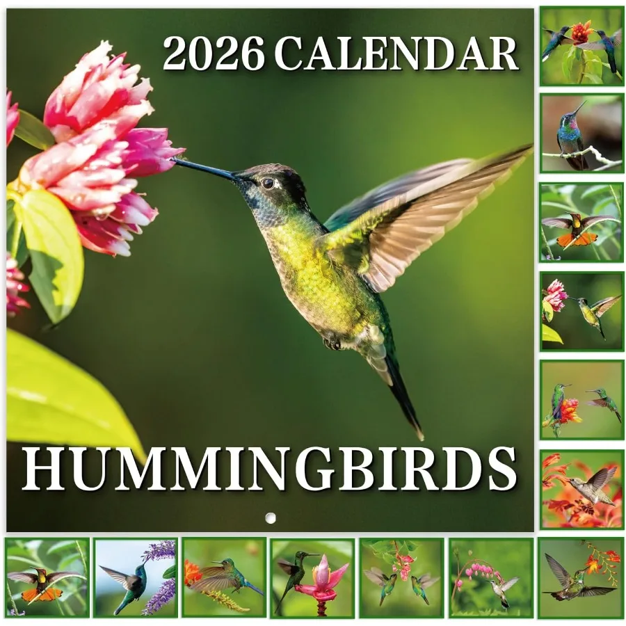 

Настенный календарь на 2026 ДЖАН. 2026 Дел. Календарь «Колибри» на 2026 год. Настенный календарь 12 x 24 дюйма, открытые календари на 12 месяцев.