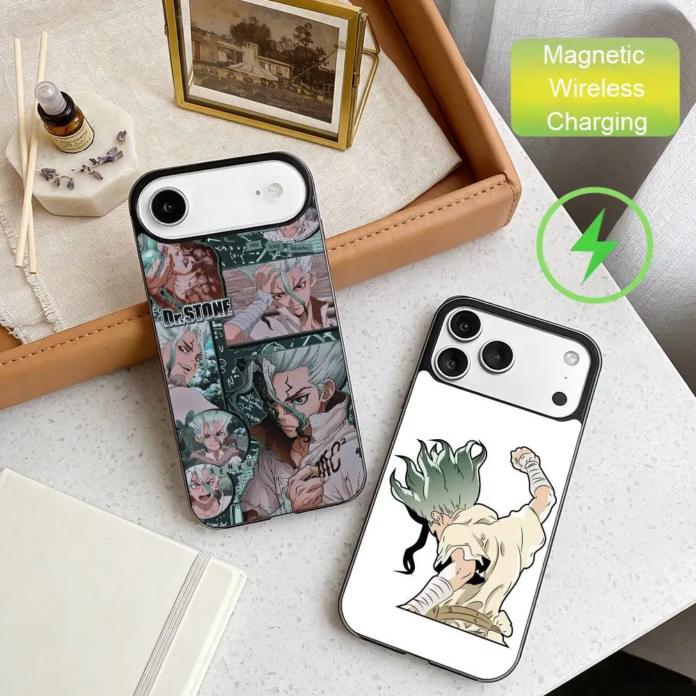 

Dr.STONE Phone Case For iPhone17,16,15,14,13,12,11 Plus,For Magnetic Wireless Charge Cover