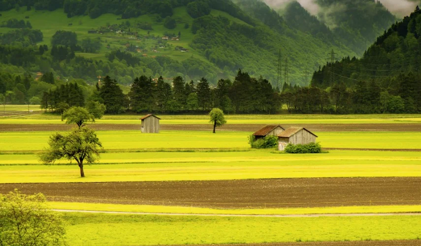 

69-клавишная проводная эргономичная разделенная клавиатура с 18 режимами RGB-подсветки, съемный кабель USB-C, игровая клавиатура для компьютера, ноутбука