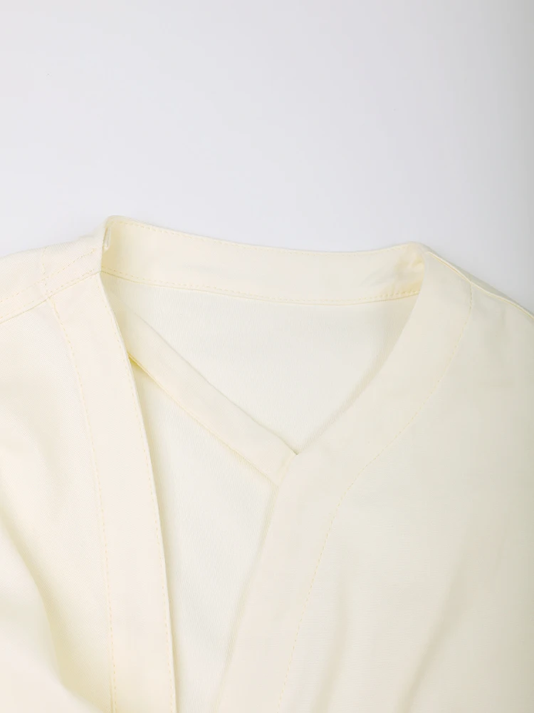 EAM-Blusa de manga larga con cuello en V para mujer, camisa de color amarillo claro, corte Irregular, talla grande, elegante, a la moda, primavera y