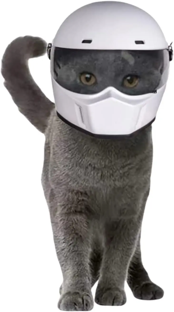 Cat Motorcycle Helmet Full Face Outdoor Bike Riding Hat Head Protecting for Cat Dog Doggie Puppy Kitten Pet Supplies Racing