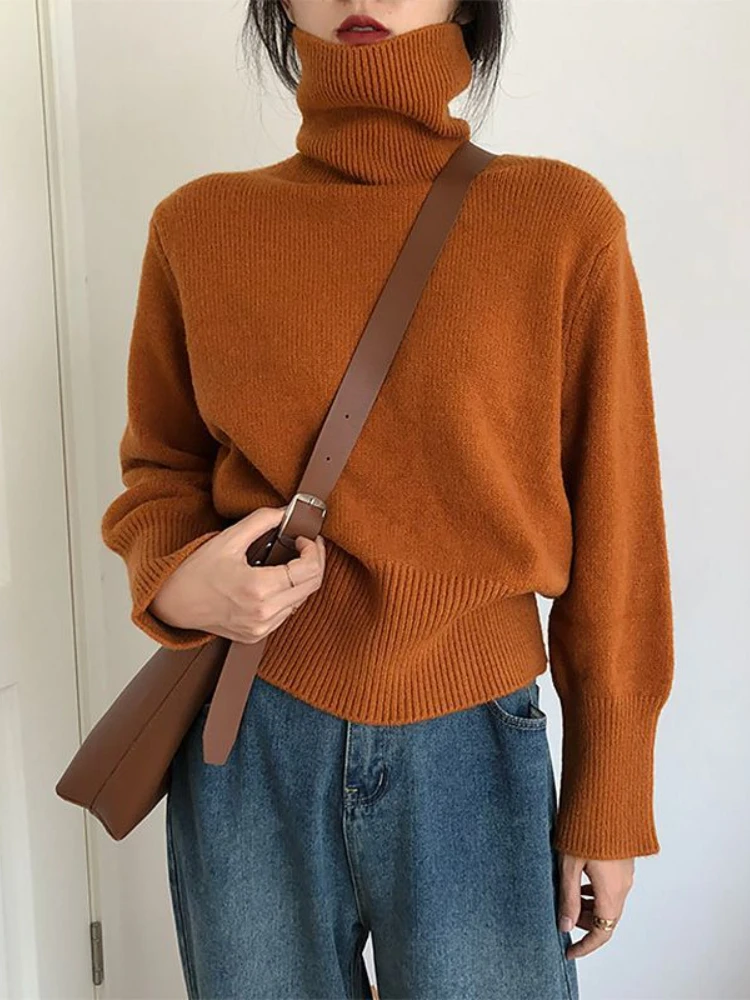 

Outerwears Autumn New Bottoming High Neck Sweater Solid Color Vintage Knitwear Tops Oversized Sweater Women Jumper Streetwear