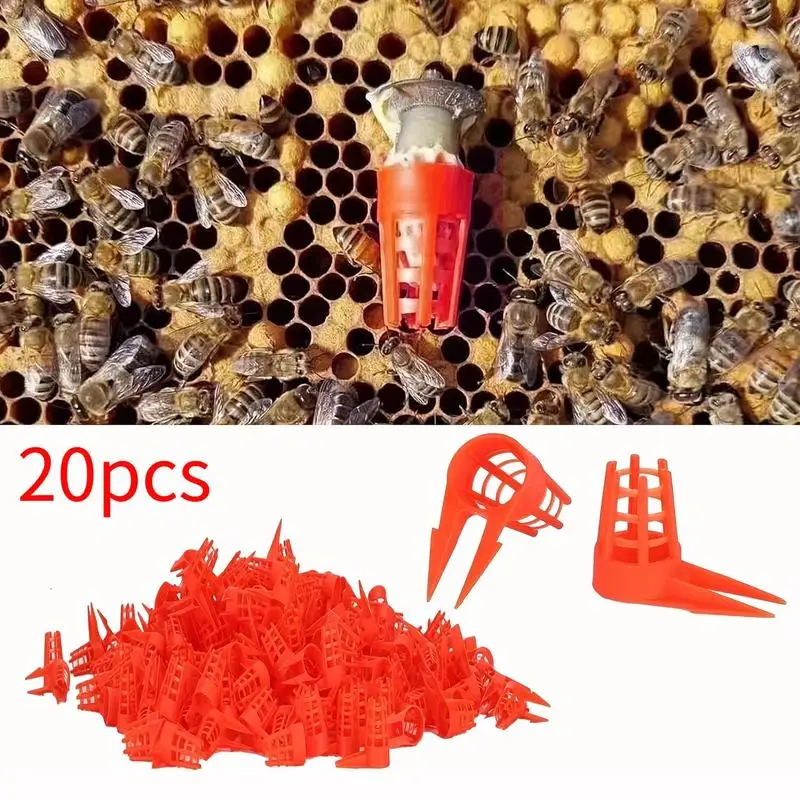 20Pcs Ventilated Plastic Queen Cell Protector, Anti-Bite Bee Rearing Cover Beekeeping Hive Tool
