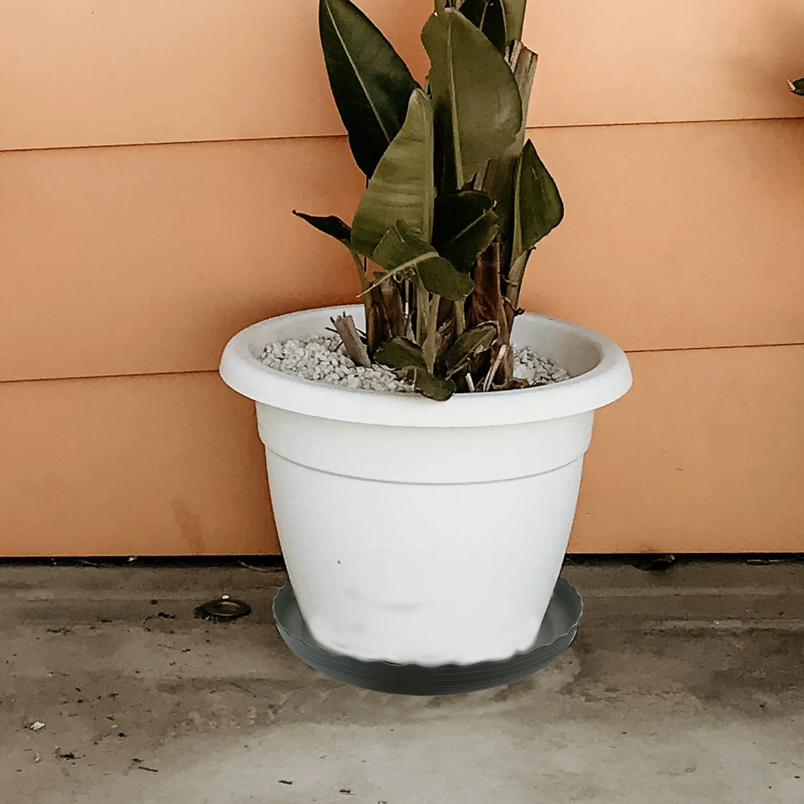 

3pcs Plastic Plant Tray Round Drip Tray For Bonsai Succulents Small Pots Base Flower Pot Saucer Garden Balcony Tool Non-Slip