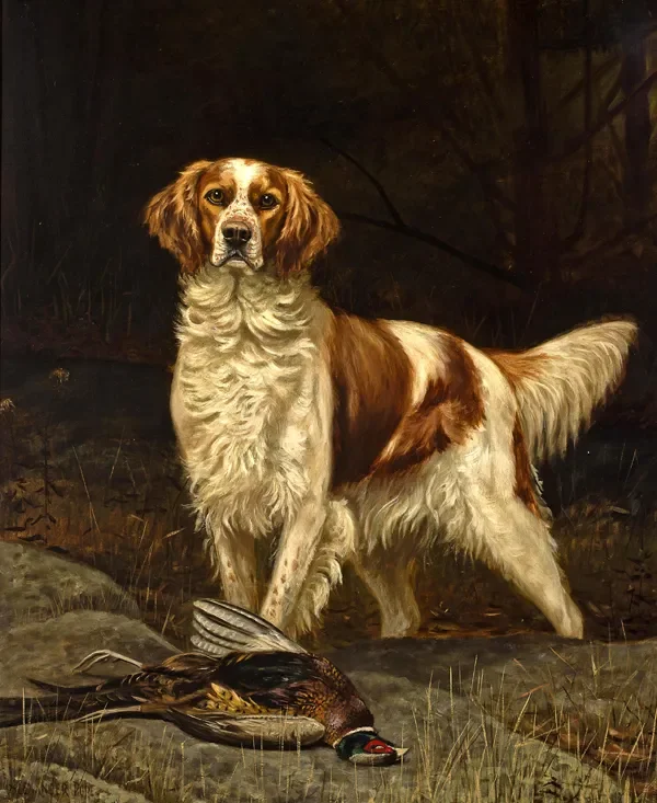 Irish red and white setter Dog, Art Picture Print Silk Poster Living Room Decor, Home Wall