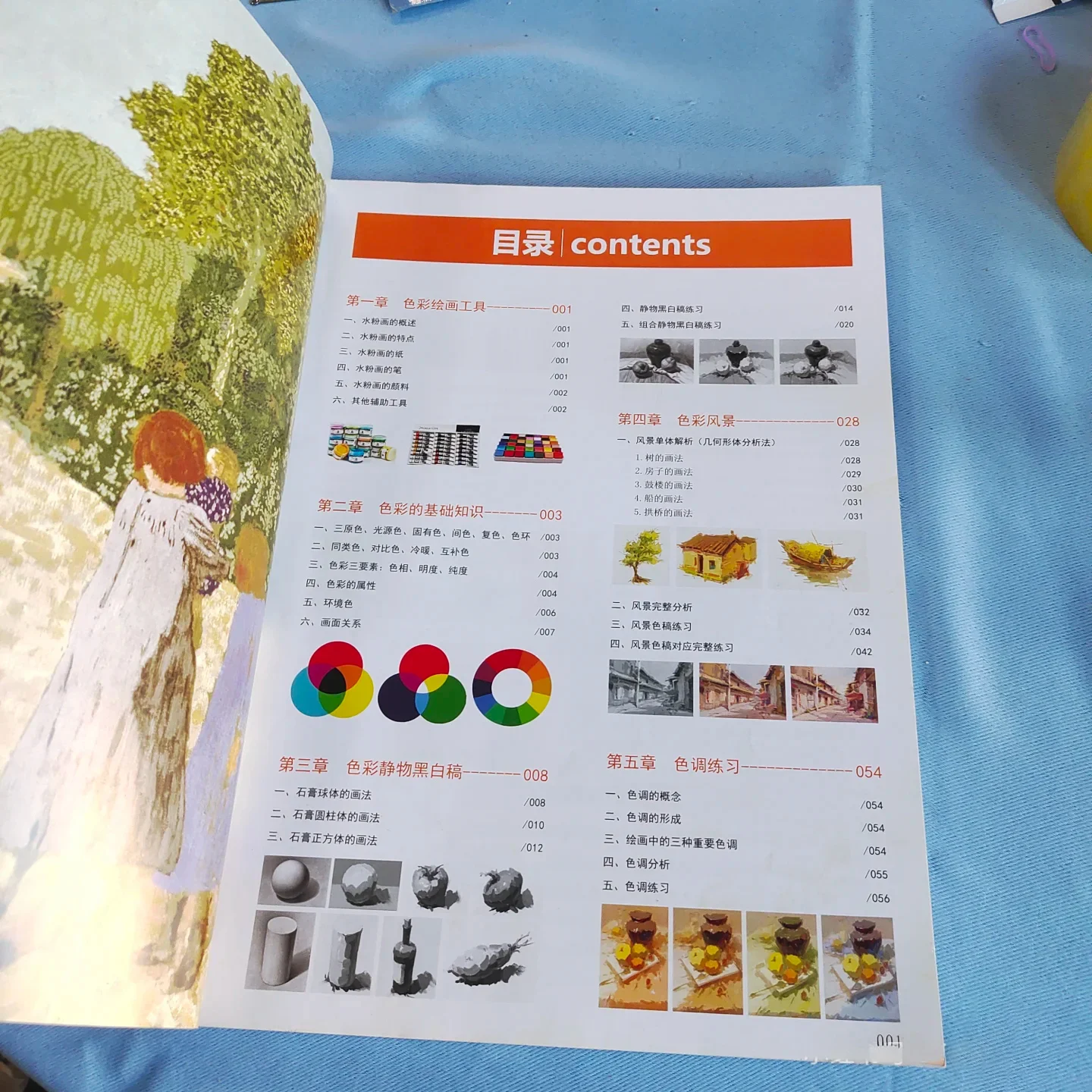Basic Color Tutorial book Black And White Tone Copying Of Gouache Paintings By Bao Dongdong