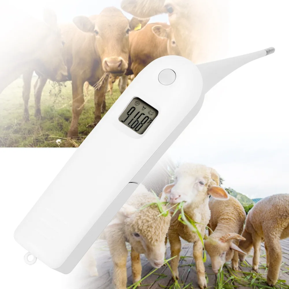 ABS Veterinary Thermometer White Portable Electronic Thermometer LCD Display Screen Fast Reading Farm Thermometer Livestock