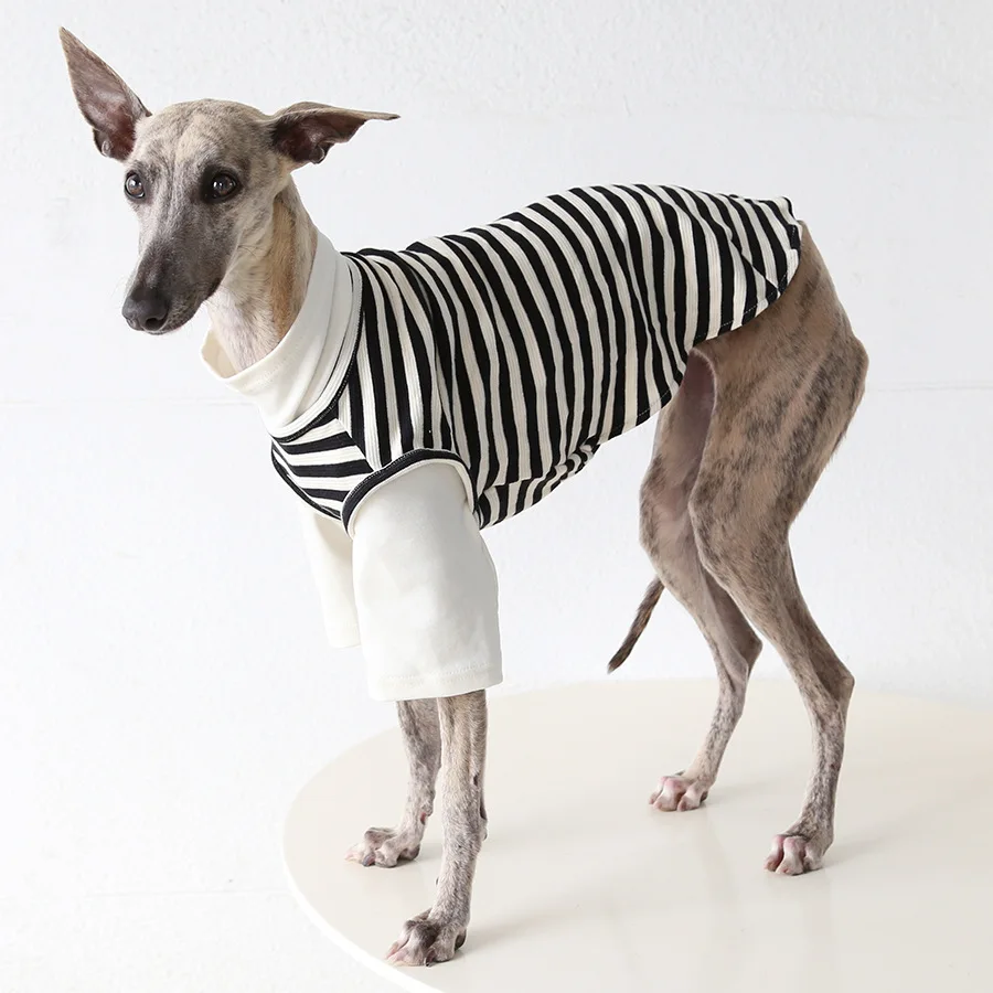 Layered Fake Two-piece Dog Outfit, Stylish Pet Clothes For Italian Greyhound & Whippet, Breathable Dog Vest