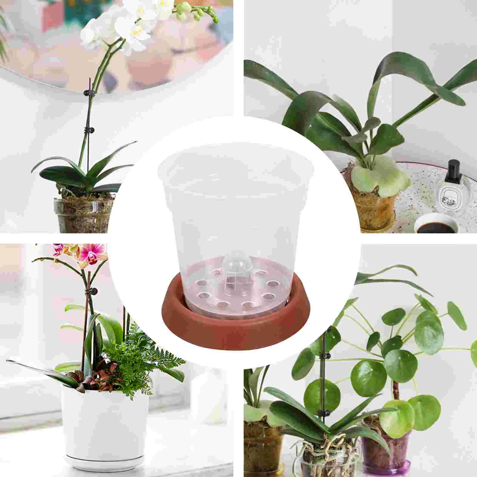 植物用の屋内蘭ポット、苗床カップ、プランター容器、栄養プラスチックボウル、シンプルな小さなスターター、5セット