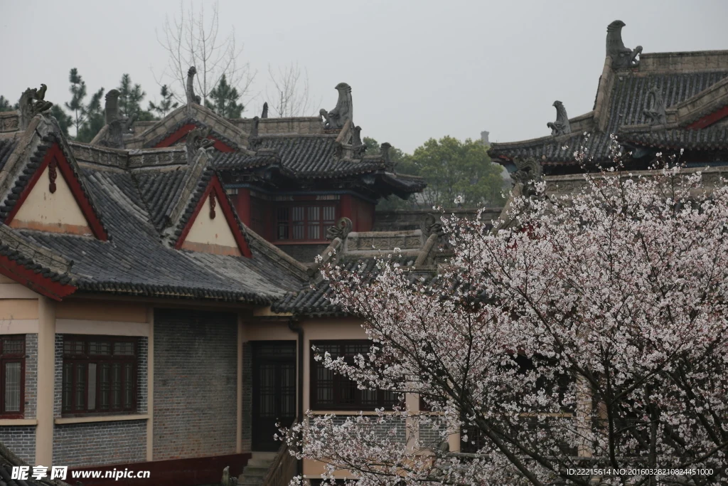 

Металлические регулируемые передние и задние тяги для радиоуправляемых машин MJX 1/14 14207 14208, запасные части