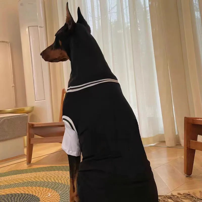 Thumbnail 3 - #16 Dog Apparel Discount Picks
