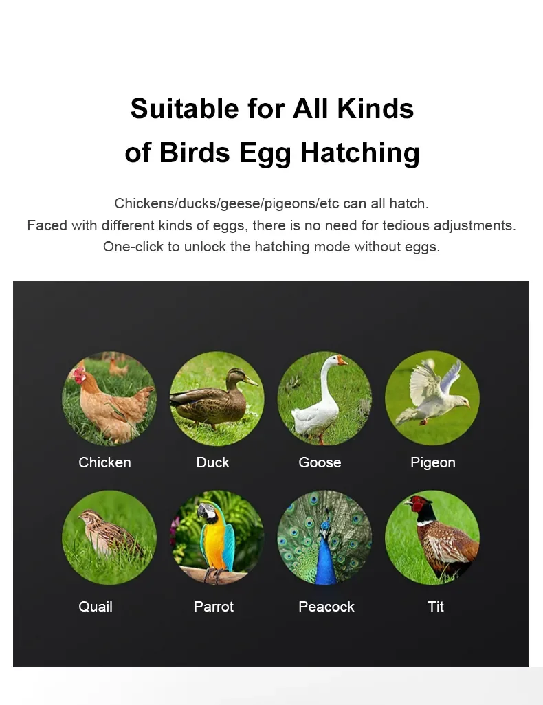 Fully Automatic Egg Hatching Machine Incubator 220V 12V Chicken Duck Goose Bird Egg Incubator