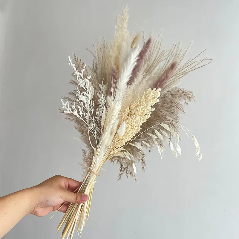 Natural Dried Flowers Pampas Bouquets Boho Home Party Decoration Artifical Flower Rabbit Bunny Tail Grass Wedding Country Decor