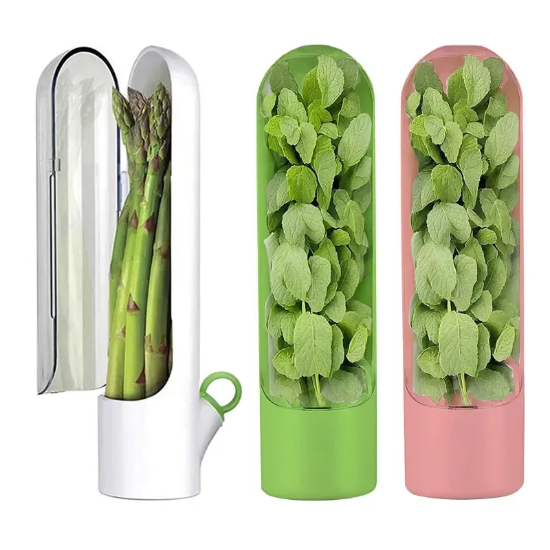 Refrigerator Herb Crisper Vegetables Fresh Preservation Bottle Household Saver Storage Container For Storing Kitchen Supplies