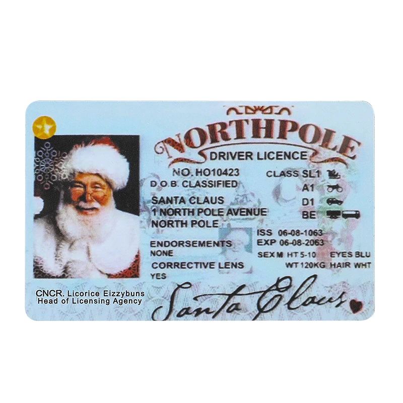 10pcs Santa Claus Sleigh Flying Driving License Christmas Presents for Kids Santa Claus Lost Drivers License ID Card Xmas Decor