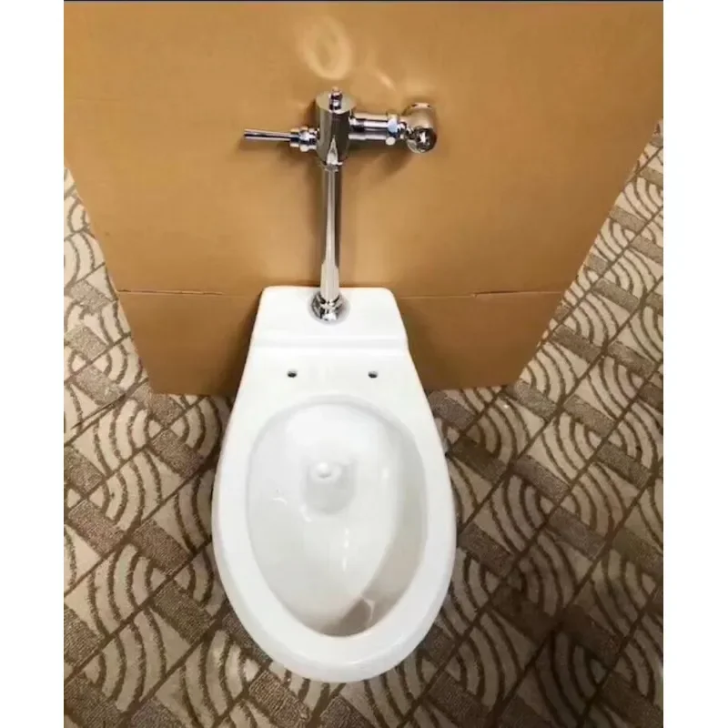 for Flush Valve Toilet for Ships Public Restroom Barrier-Free Accessible WC with Separate Water Inlet System Marine Grade