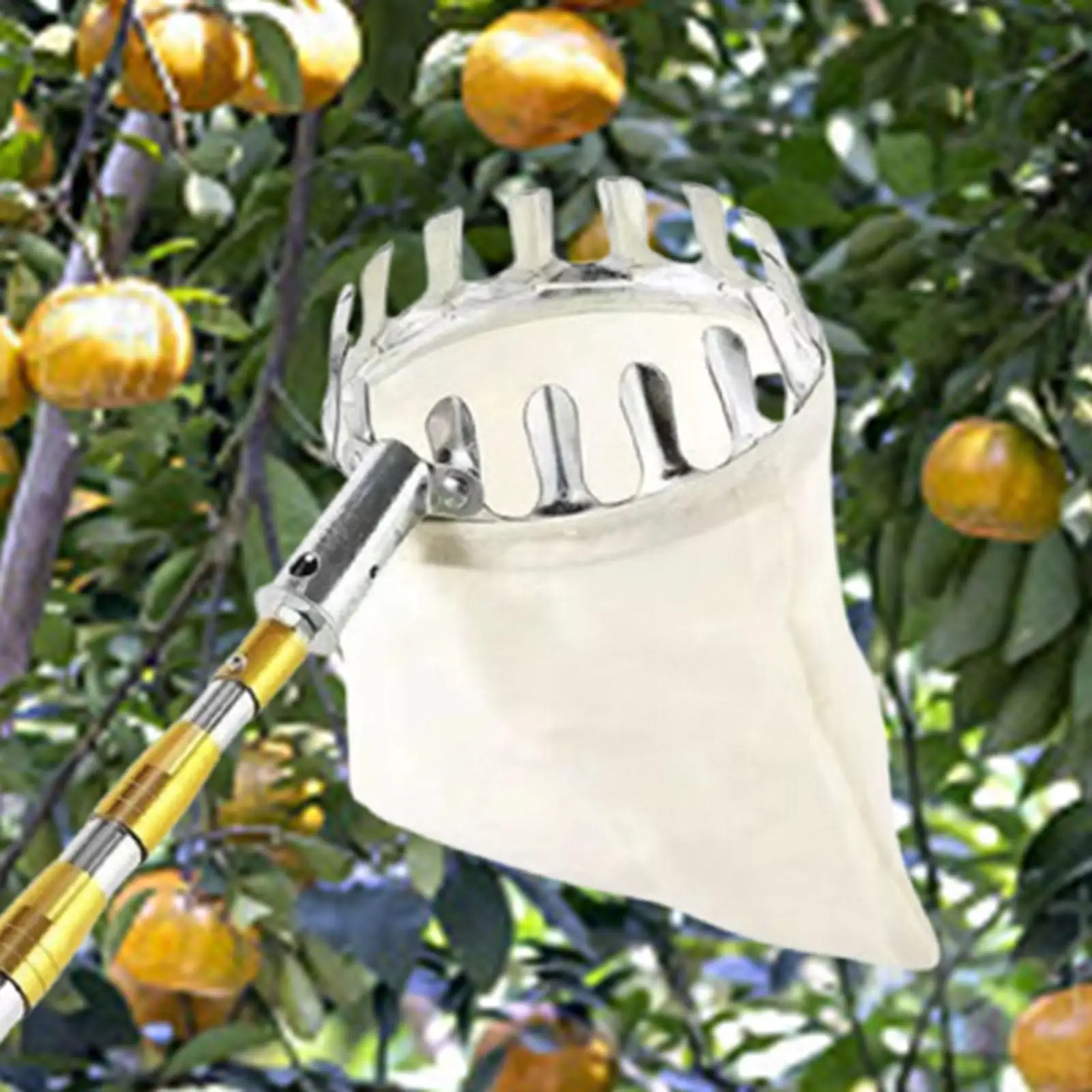 

Металлический сборщик фруктов, сельскохозяйственная фурнитура, практичная, легко прикрепляемая корзина для сбора фруктов, инструмент для сбора фруктов, инструмент для сбора урожая