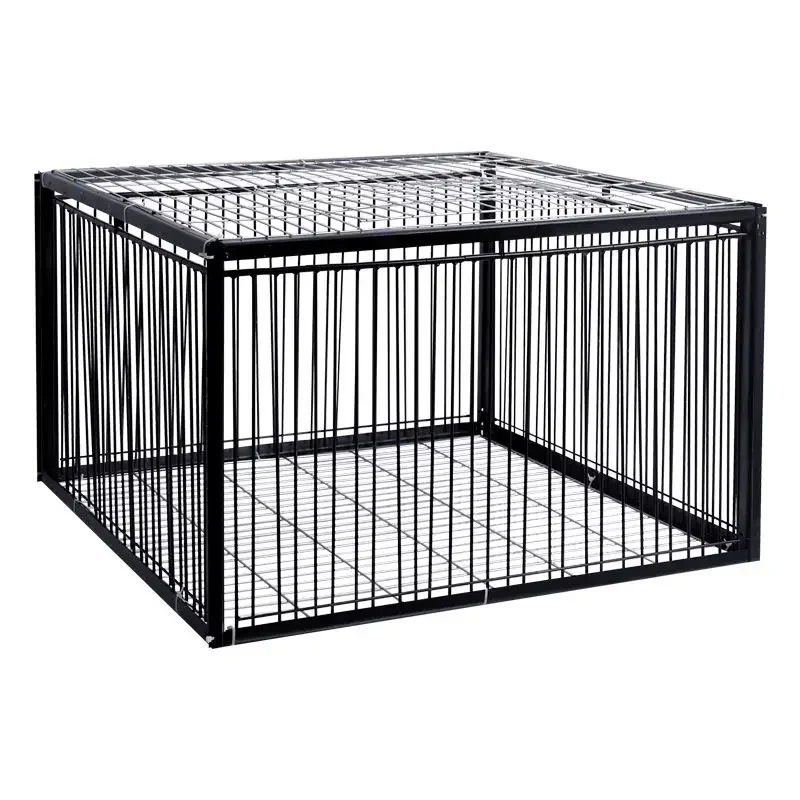 For Foldable Galvanized Pigeon Bird Trap Cage Wild Pigeon Humanitarian Way with One-Way Entrance Pigeon in Cage