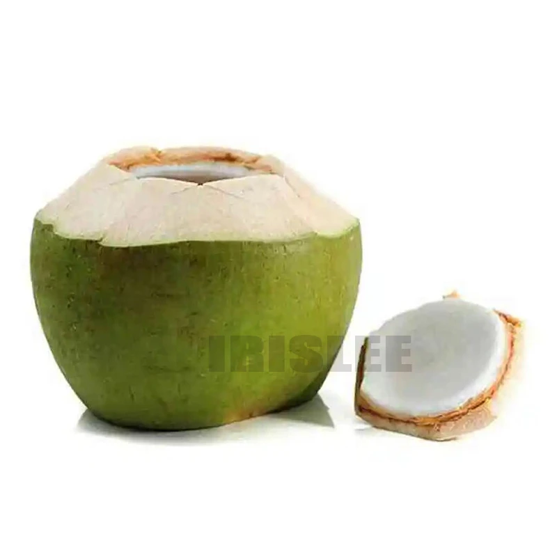 ใช้งานง่ายมือสีเขียวมะพร้าวที่เปิดมะพร้าวฝาปิดเปิดเครื่อง