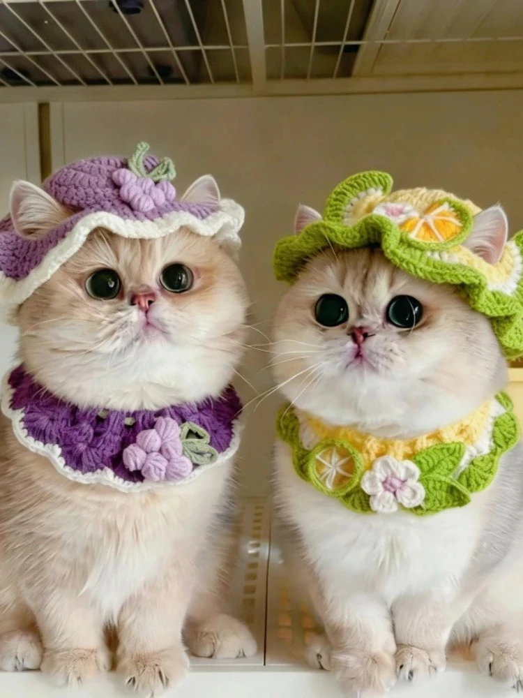 Cross border spring pet flower hat bib set for cats, dogs, frogs, bees, headwear, headgear, drool bibs, etc