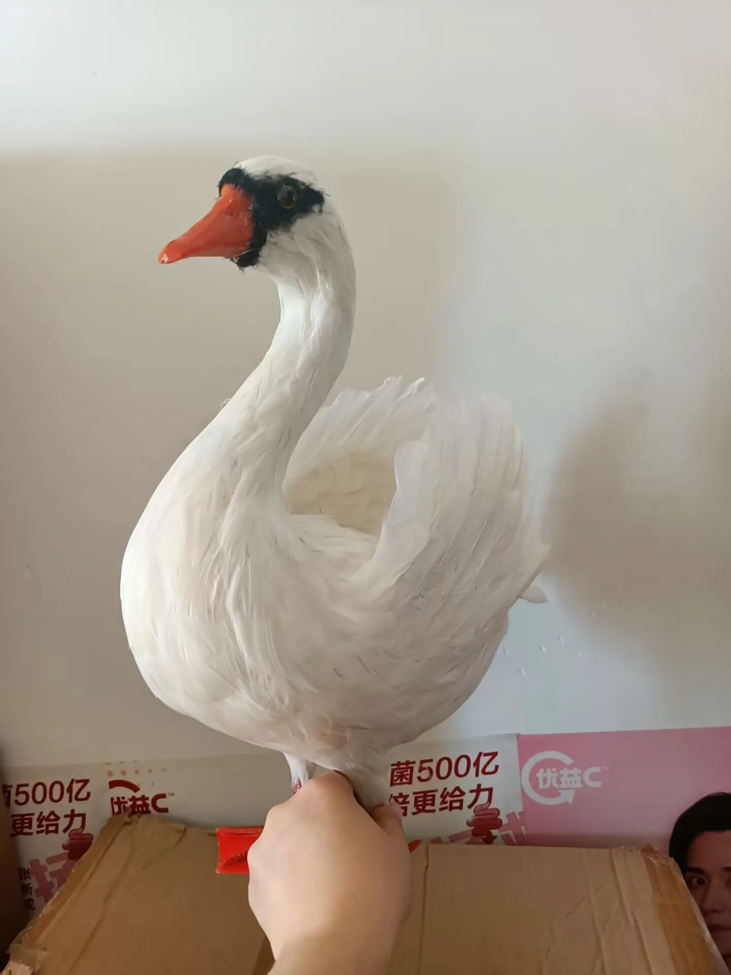 simulation foam&feather white swan  model garden decoration gift about 40cm d0537