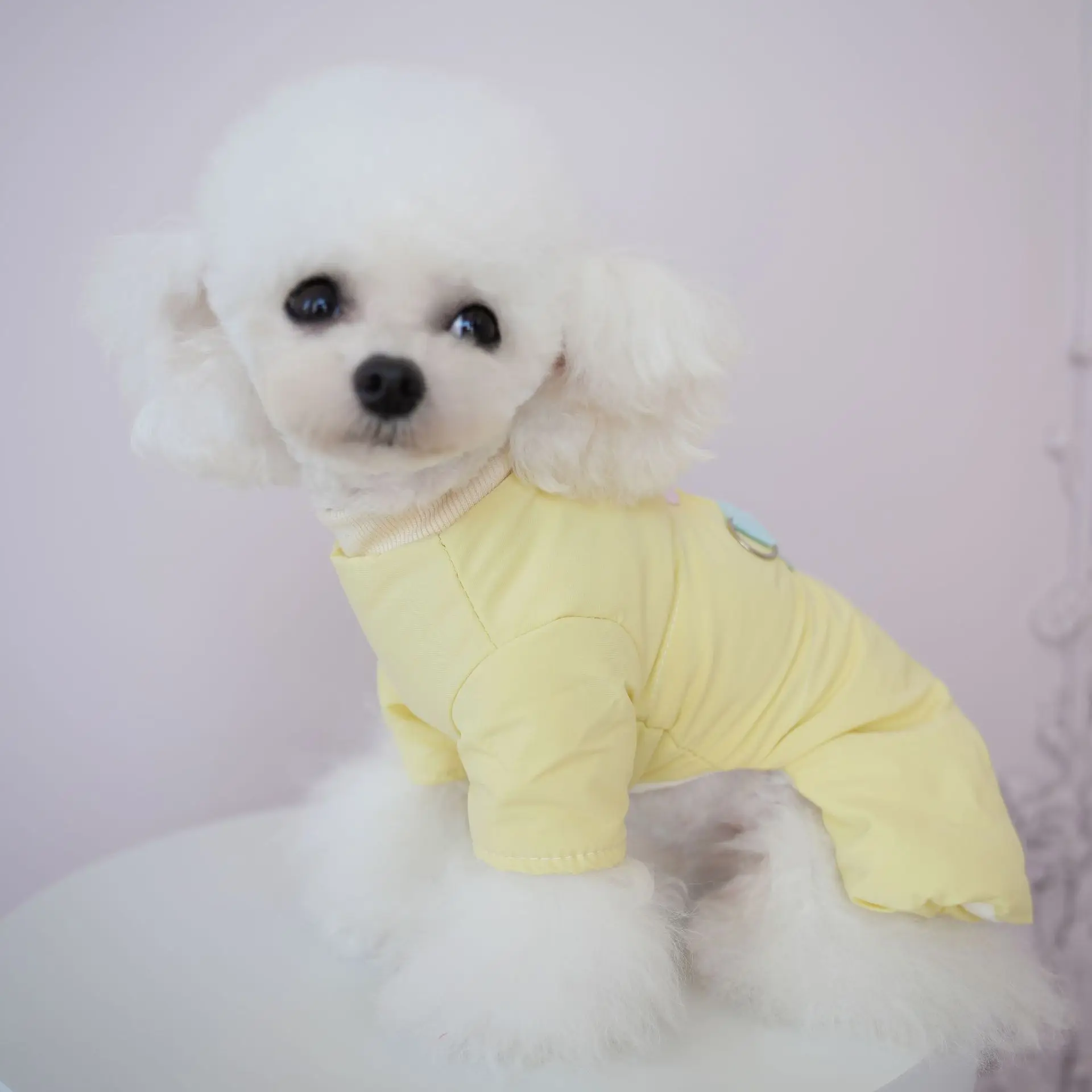 Pet Jumpsuit with Colorful Button Back and Four Legged Windproof and Warm Outerwear for Cats in Autumn and Winter Puppy Clothes