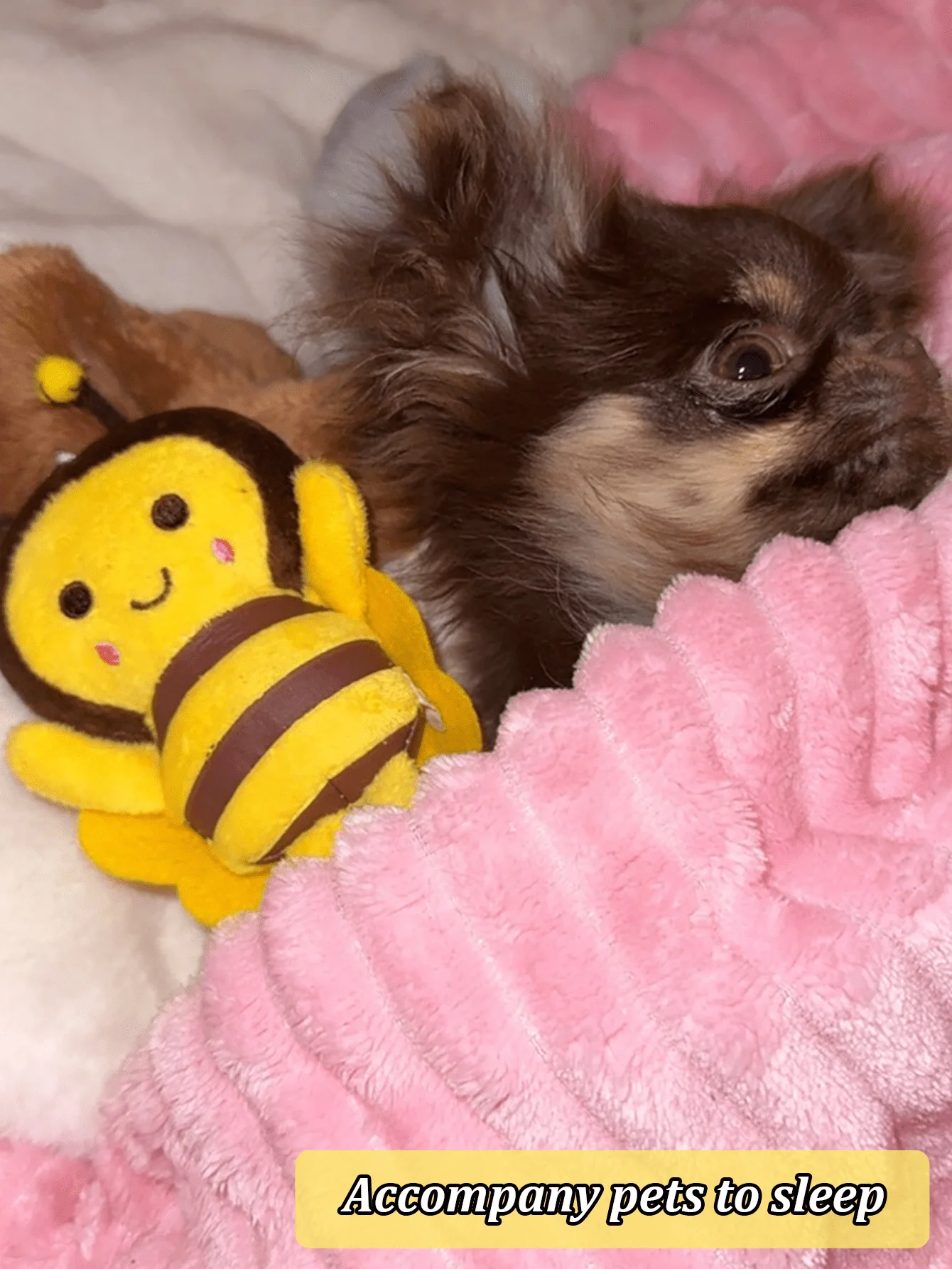 2 Packungen Welpen-Kauspielzeug – niedliche Bienenform, geeignet für Welpen und kleine Hunde, für Zahnwachstum, Zahnreinigung, Linderung von Zahnbeschwerden – Detail 8
