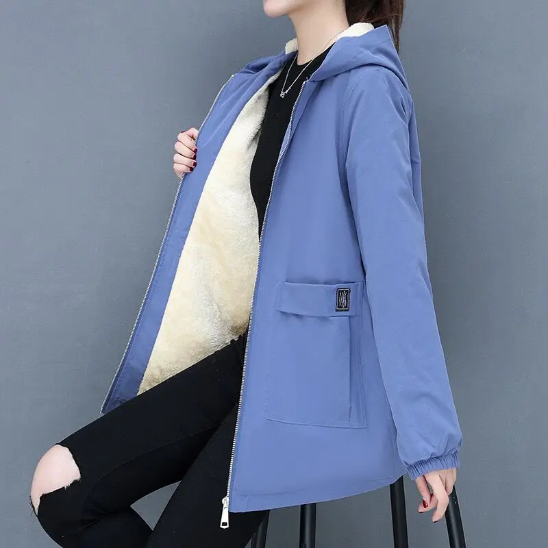 Autumn and Winter New Korean Version Thickened Warm Lamb Wool Cotton-padded Clothes Women's Loose Hooded Women's Tops