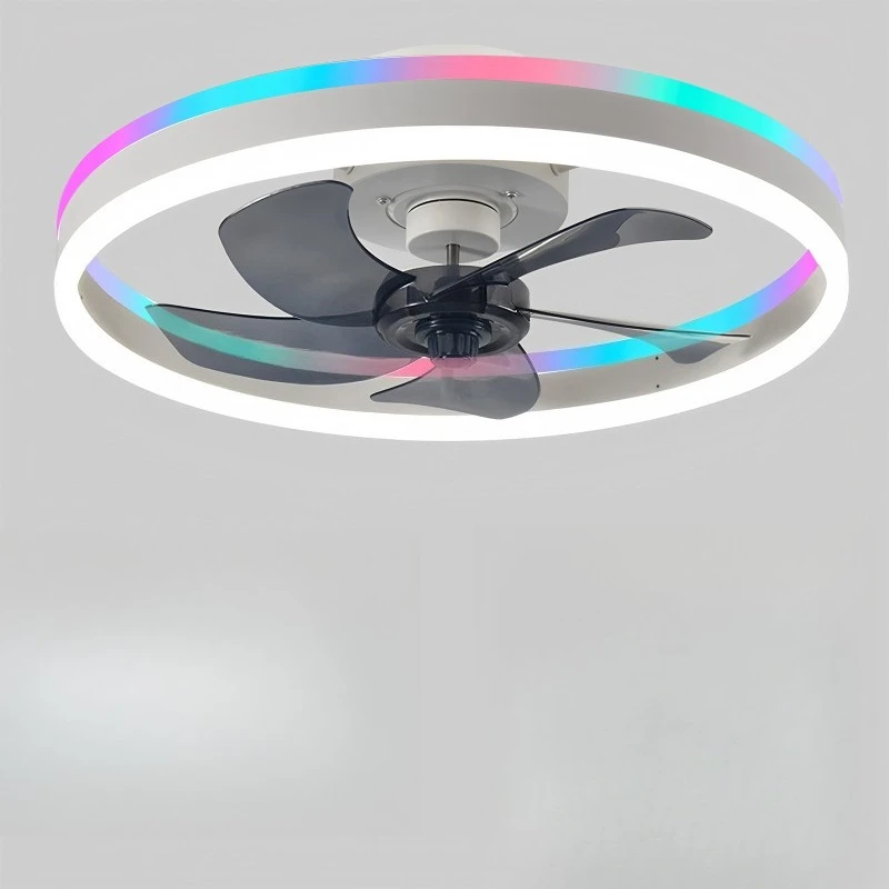 New modern minimalist ceiling fan light, remote control