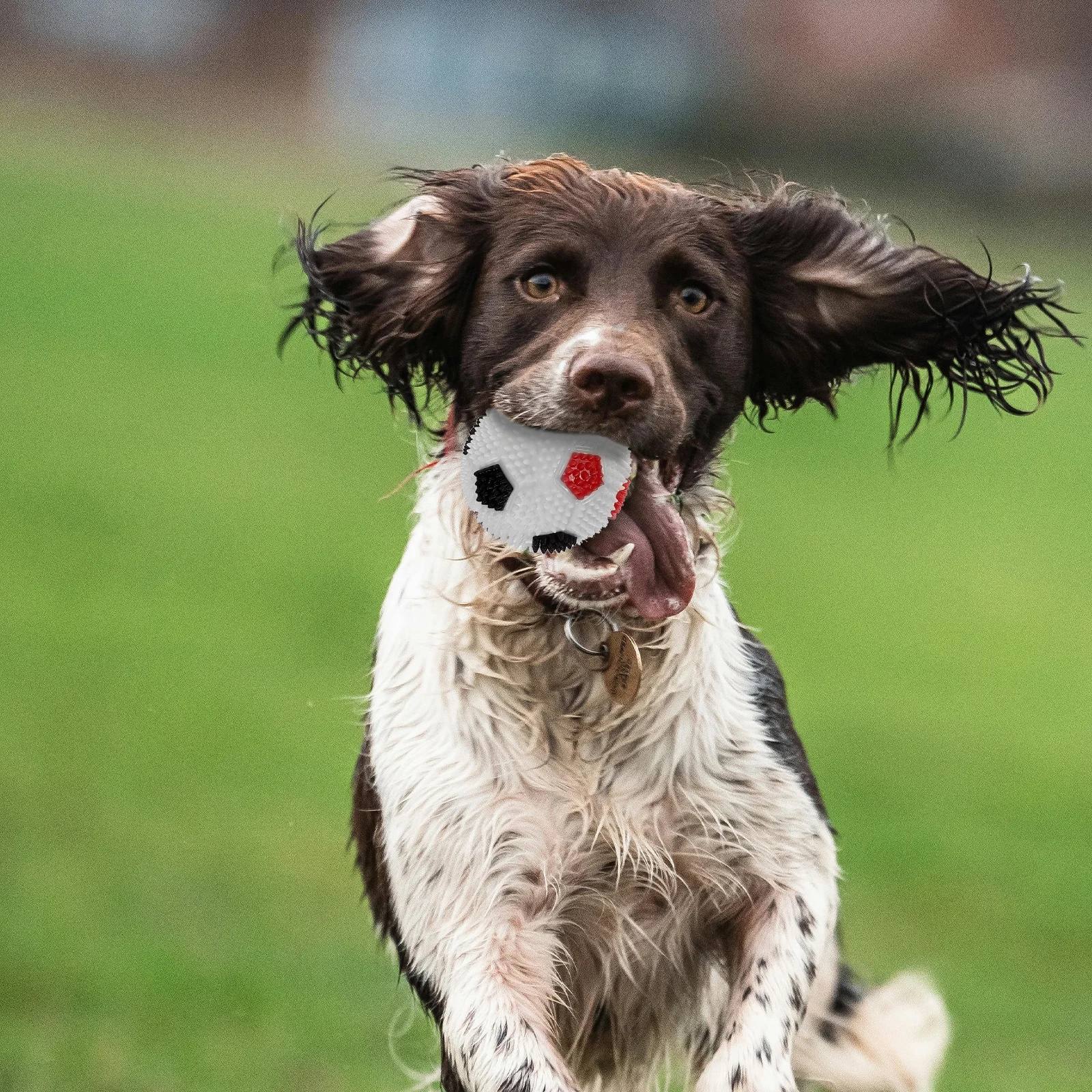 

4Pcs Squeaky Spiky Ball Luminous Bouncy Glow Massage Dog Ball for Interactive Play Chewing Cleaning Teeth Stimulation