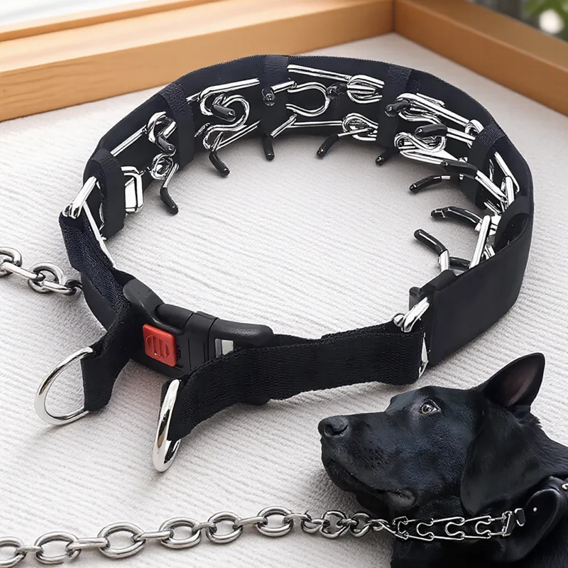 Quick Release Dog P…