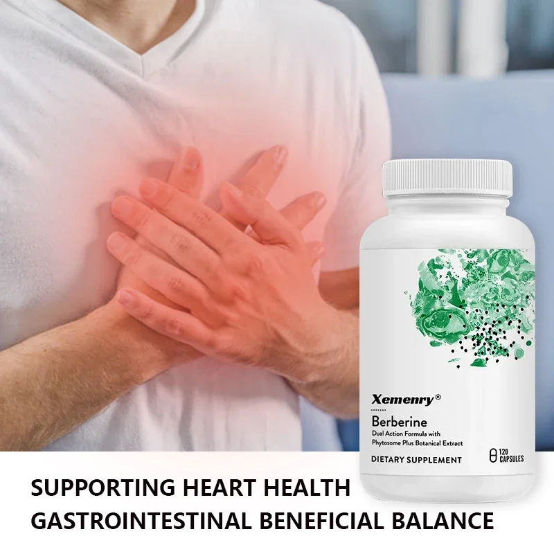 Natural Berberine - Supports Heart and Immune System, Healthy Gastrointestinal Cholesterol Plant-based Dual Action Formula