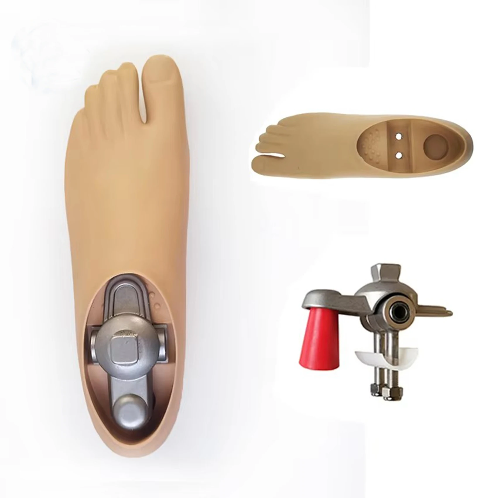 

Prosthetic Foot Manufacturers Beige Polyurethane Double Axis Foot with Adaptor Artificial Limbs Prosthesis Feet with Two Holes
