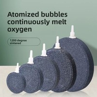 High-Quality Fish Tank Aquarium Oxygen Disk Bubble Stone for Efficient Air Delivery