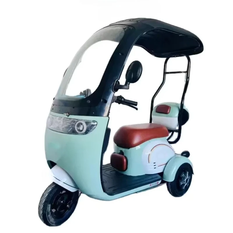 

Adult electric tricycle with cover new energy car pick-up and drop-off for children