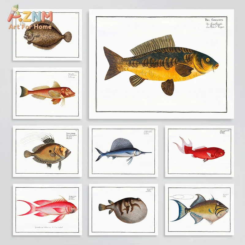 AZNM Vintage Marine Fish Illustration Canvas Poster Frameless Wall Art Antique Ocean Creature Biology Sketch Print For Coastal S