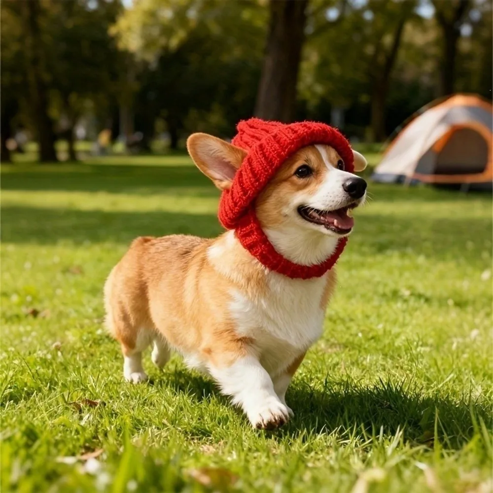 Cute Windproof Pet Knitted Hat Anti-Freeze Comfortable Dog Warm Hat Handmade Soft Pet Headwear Autumn