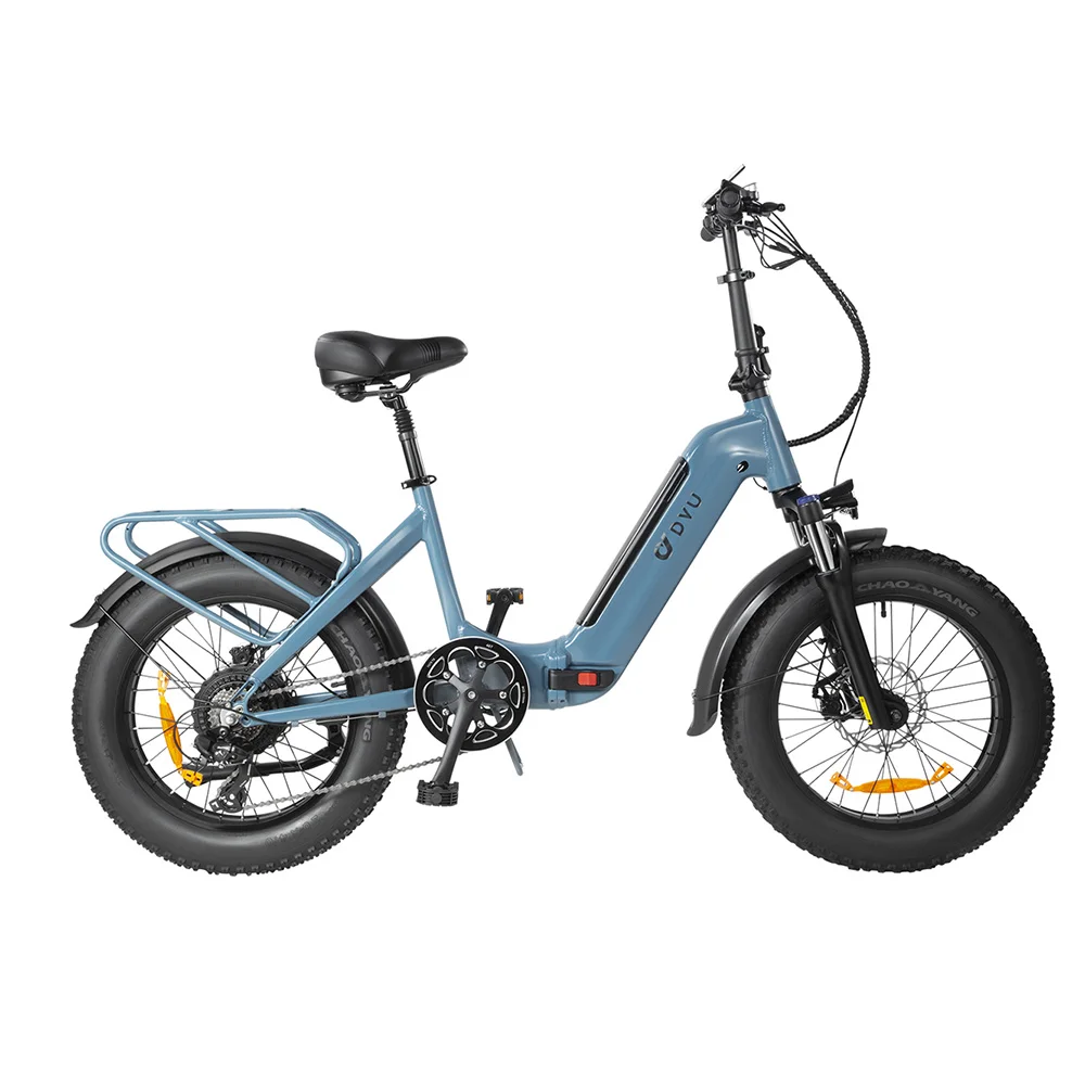 Vélo électrique de DYU-20x500 pouce FF500 rpm, moteur de 4.0W, batterie au lithium de 48V 14Ah, approprié à l'équitation adulte de ville