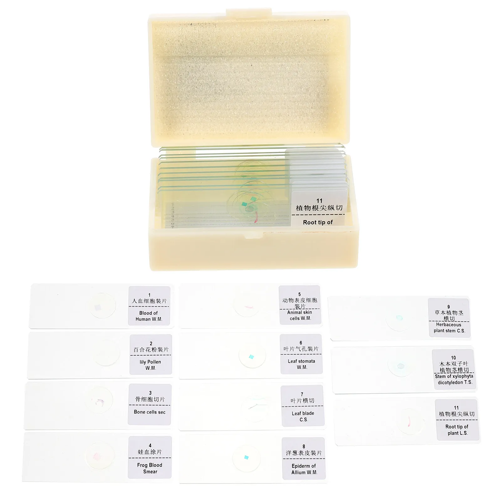 

1Set Glass Microscope Slides Bioexperiment Object Slides Smooth Edges Laboratory Supplies for Biology Class Science Education